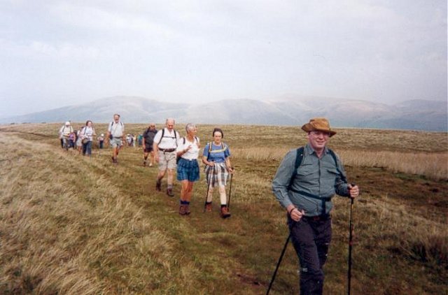 {short description of image}