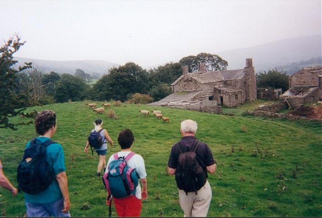 {short description of image}