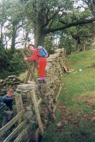 {short description of image}