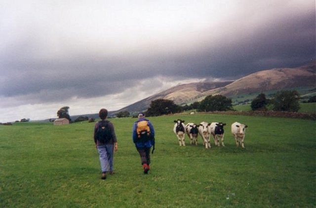 {short description of image}