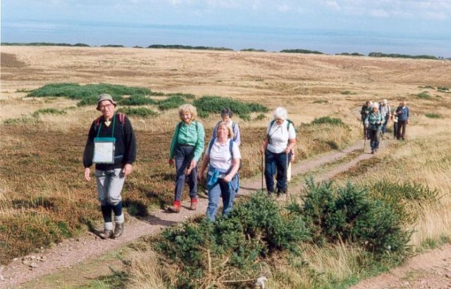 {short description of image}