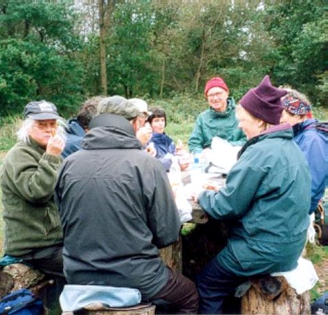 {short description of image}