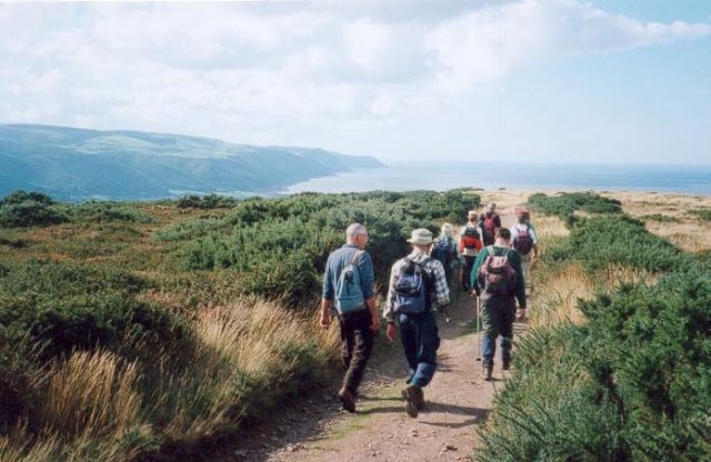 {short description of image}