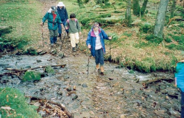 {short description of image}