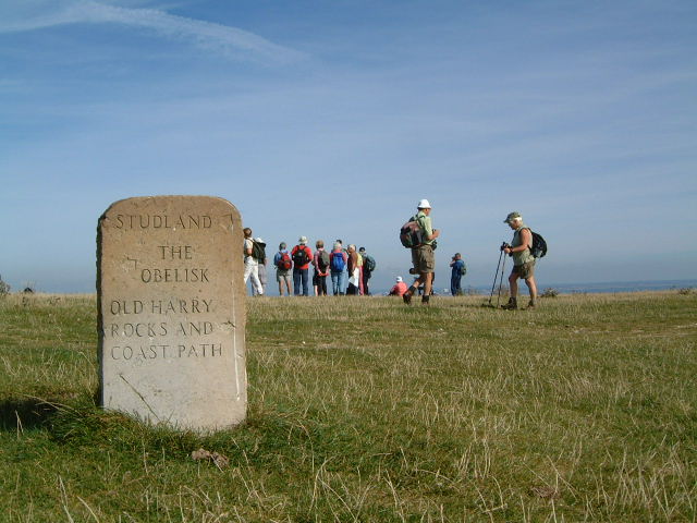 Near Old Harry Rocks