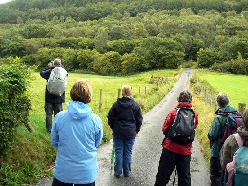 {short description of image}