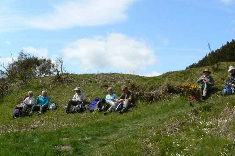 {short description of image}