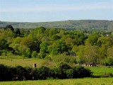 The South Downs