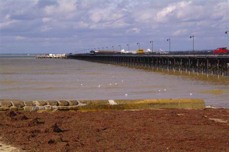 {short description of image}