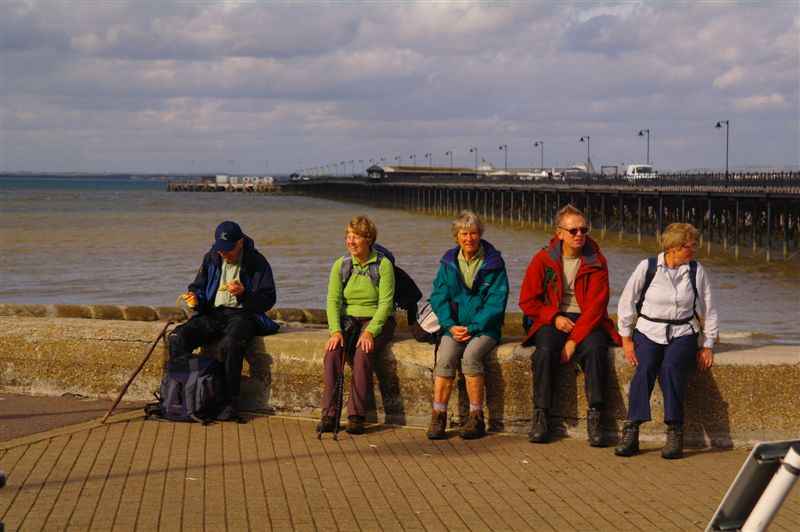 {short description of image}