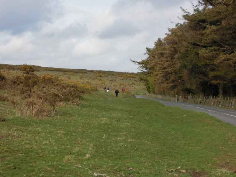 {short description of image}