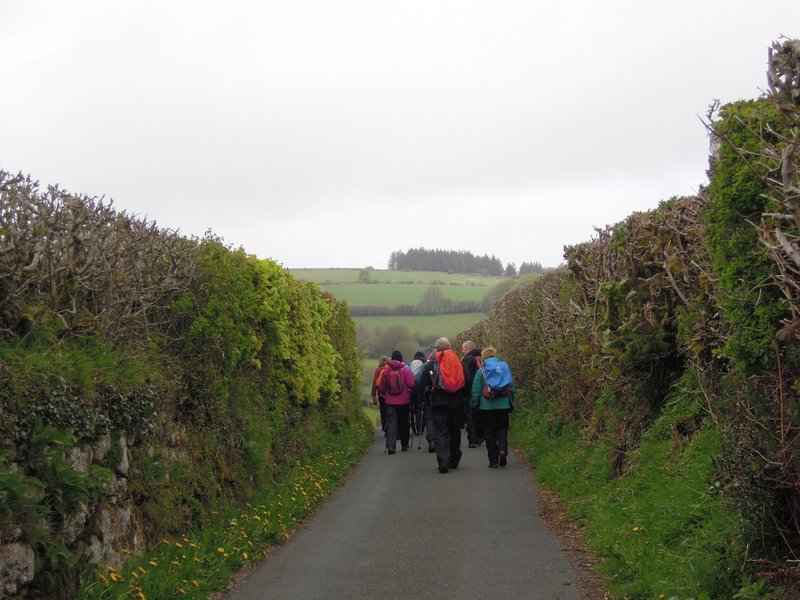 {short description of image}