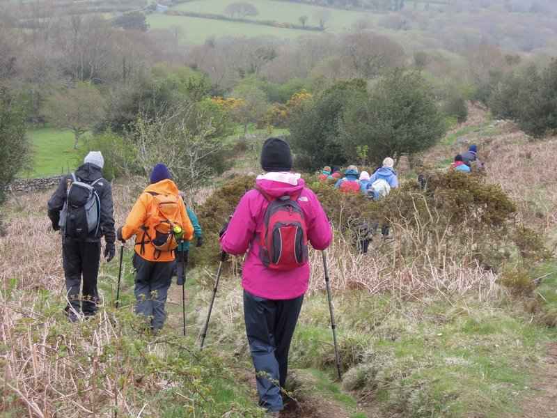 {short description of image}