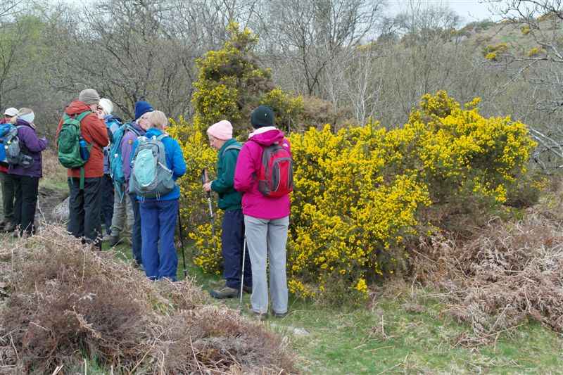 {short description of image}