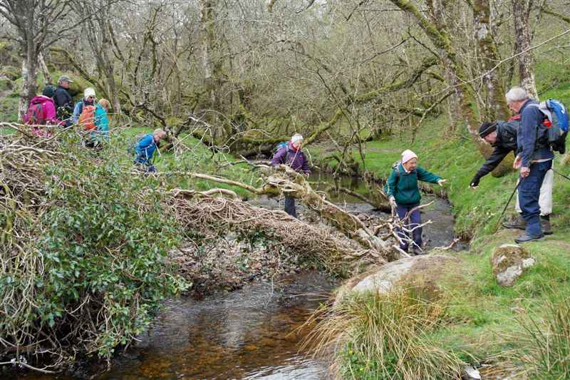 {short description of image}