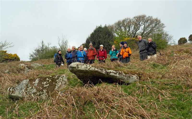 {short description of image}