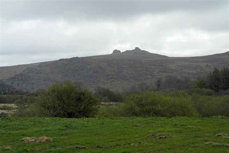 {short description of image}