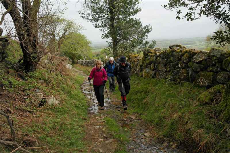 {short description of image}