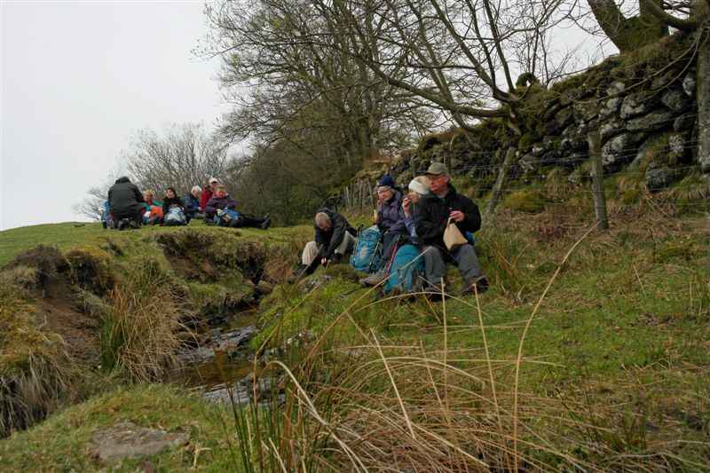 {short description of image}