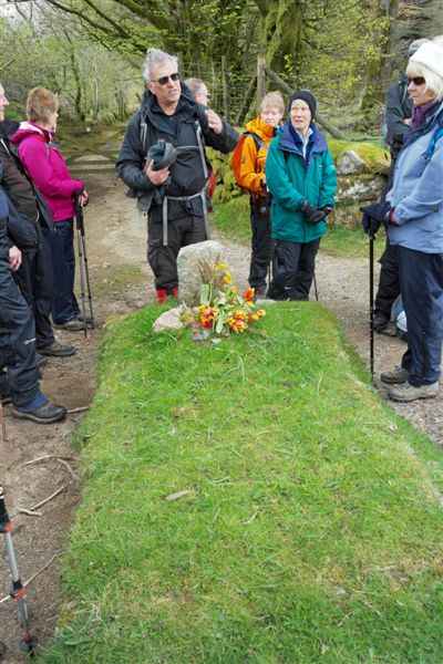 {short description of image}