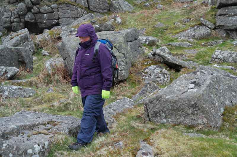 {short description of image}