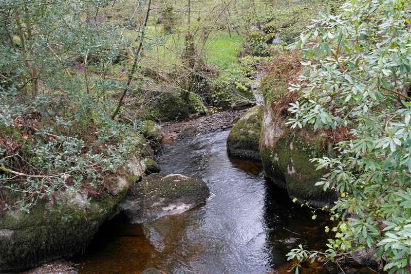 {short description of image}