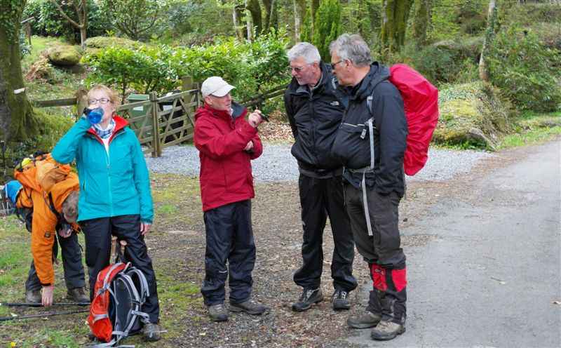 {short description of image}