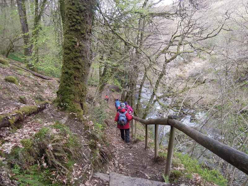 {short description of image}