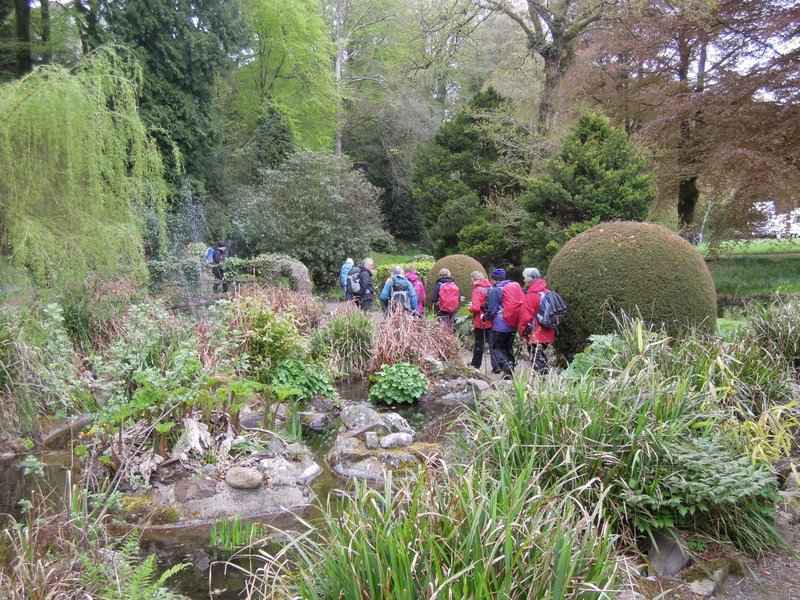 {short description of image}