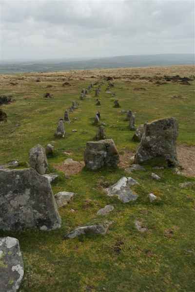 {short description of image}