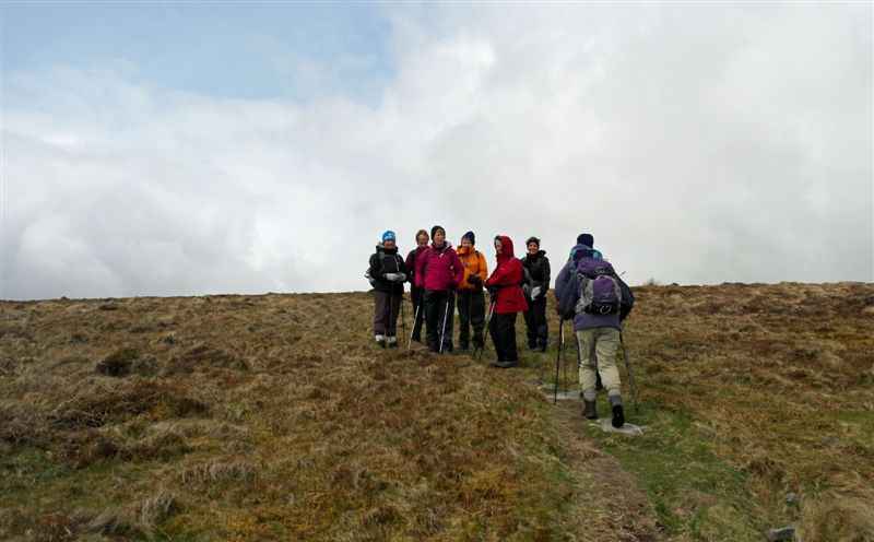 {short description of image}