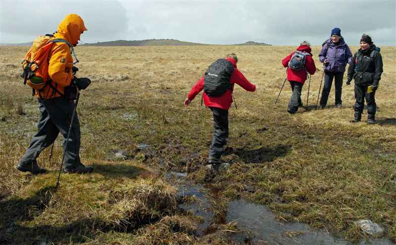 {short description of image}