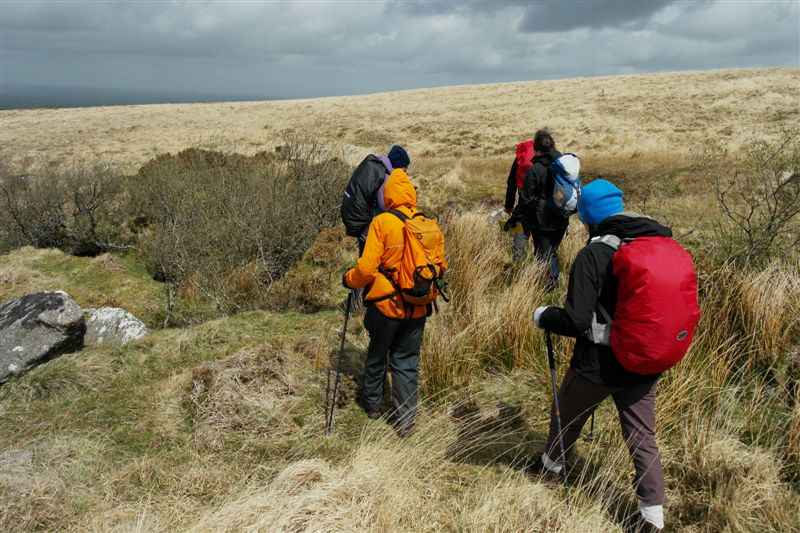 {short description of image}