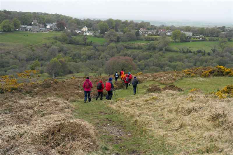 {short description of image}