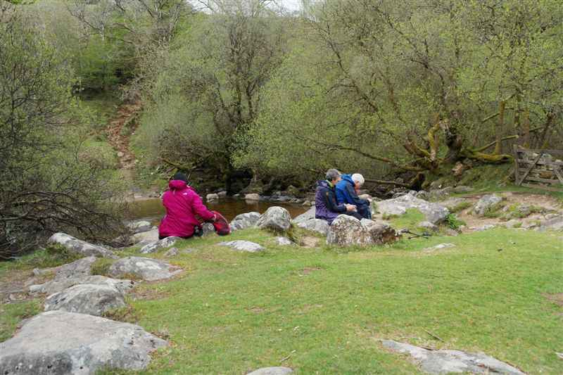 {short description of image}