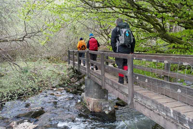 {short description of image}