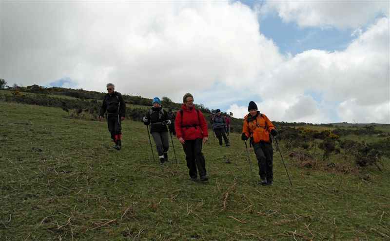 {short description of image}