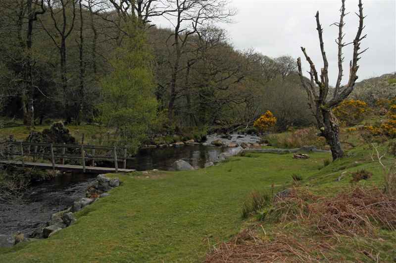 {short description of image}