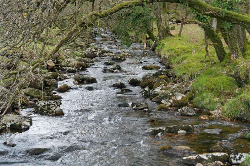 {short description of image}