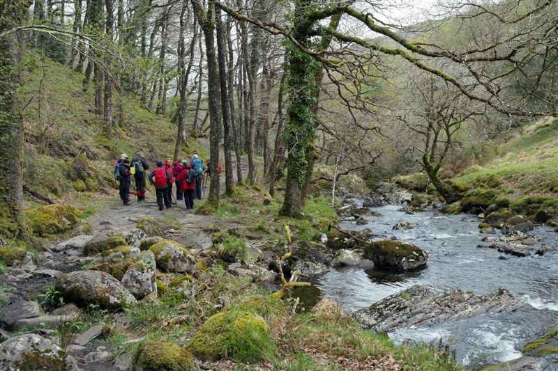 {short description of image}