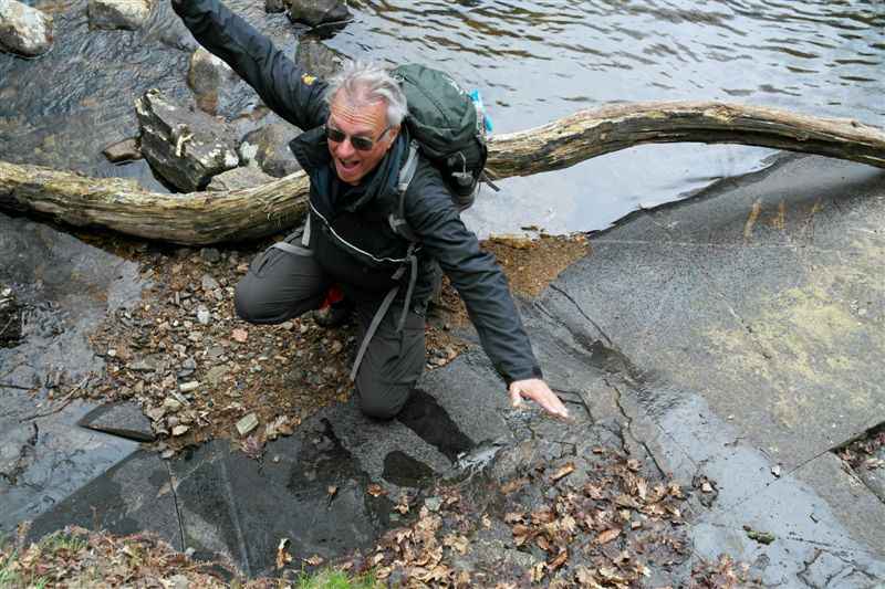 {short description of image}