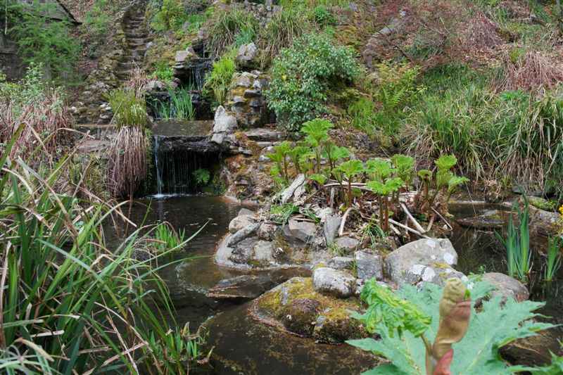 {short description of image}