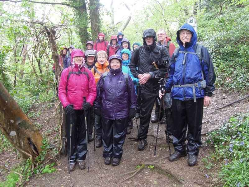 {short description of image}