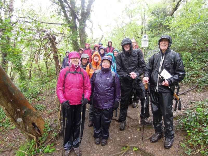 {short description of image}