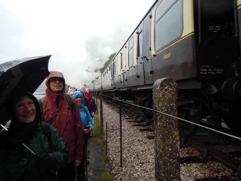 {short description of image}