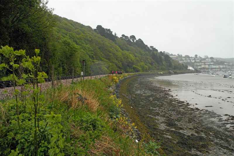 {short description of image}