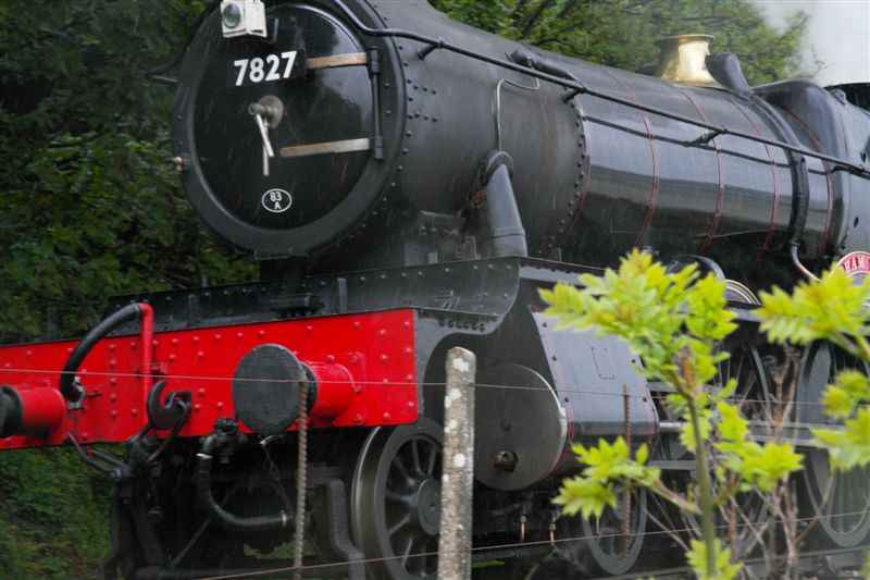 {short description of image}