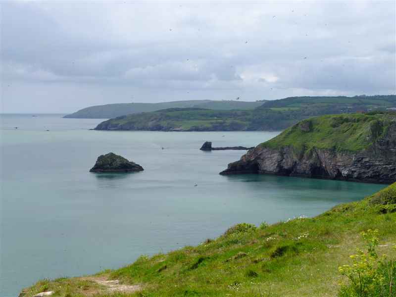 {short description of image}