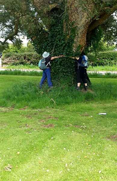 {short description of image}