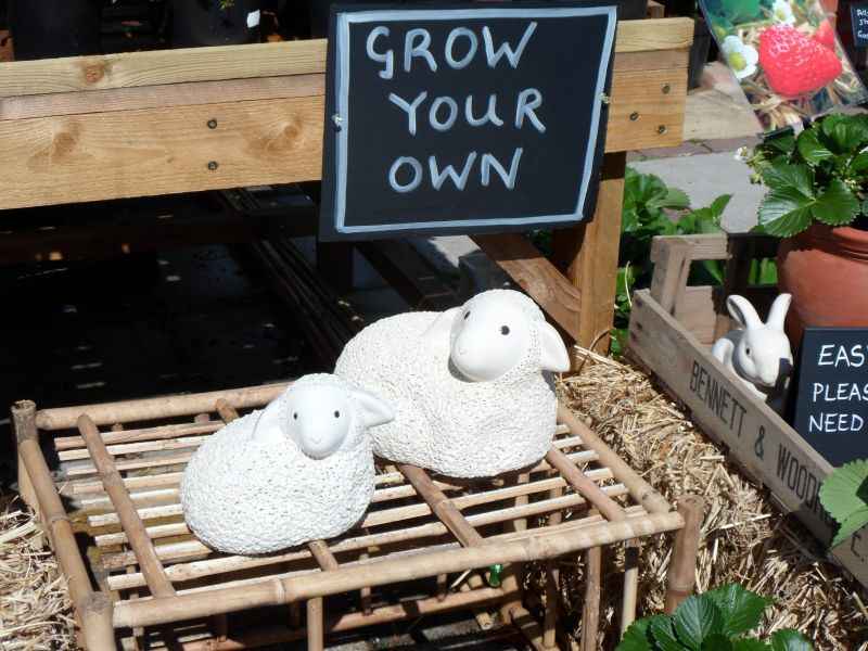 {short description of image}